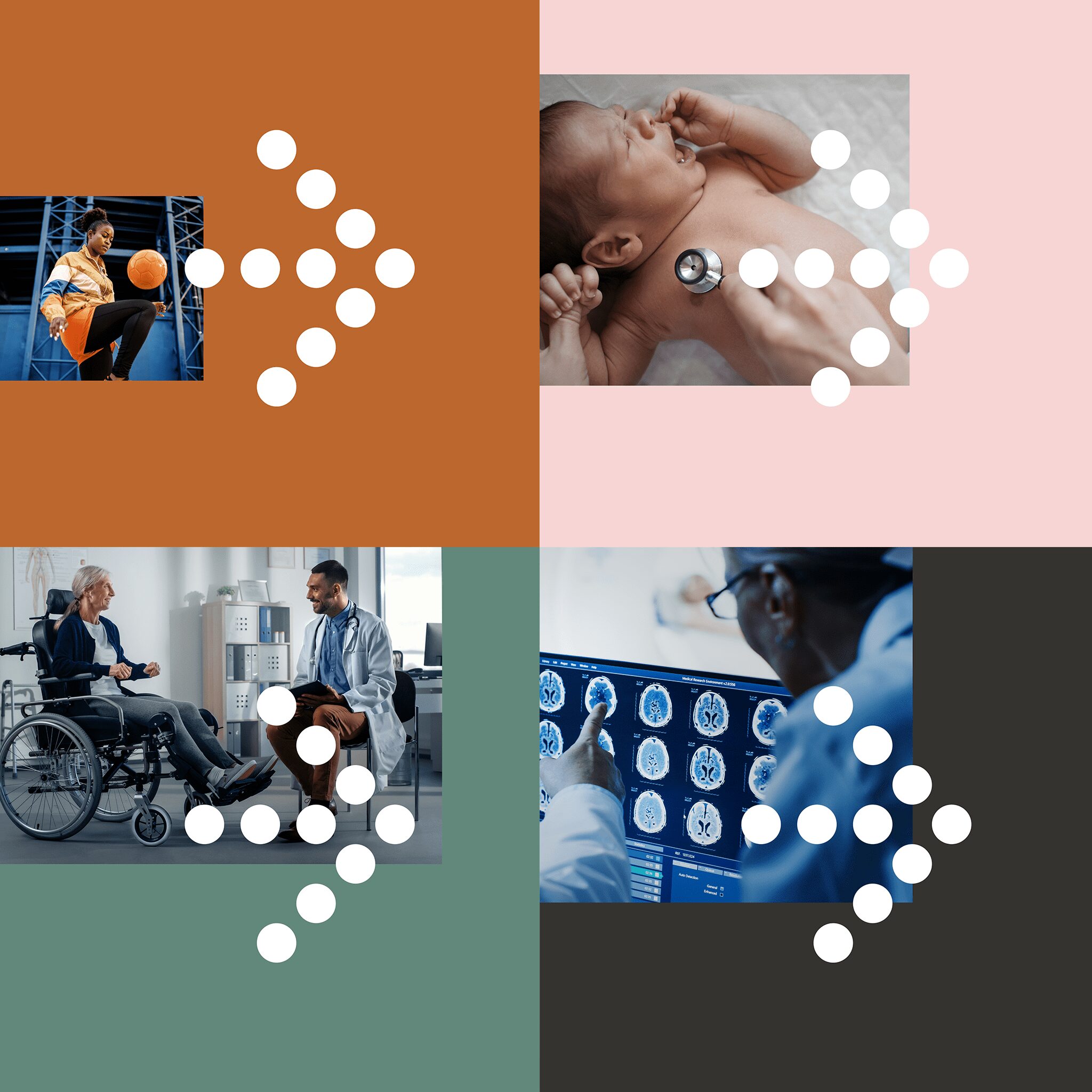 Fédération des médecins spécialistes du Québec – Creation of Persée